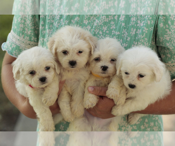 Medium Photo #8  Breeder Profile in ELKTON, KY, USA