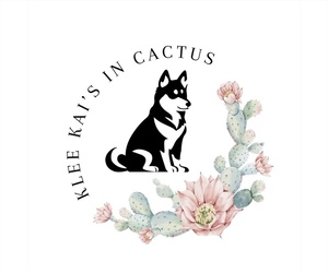 Alaskan Klee Kai Dog Breeder near GLENDALE, AZ, USA