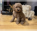 Small #9 Breeder Profile image