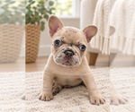 Small breeder photo