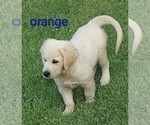 Small #7 Breeder Profile image