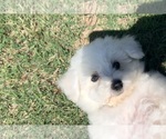 Small #3 Breeder Profile image