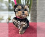 Small #12 Breeder Profile image