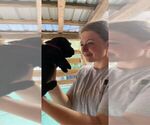 Small #11 Breeder Profile image