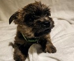 Small #8 Breeder Profile image