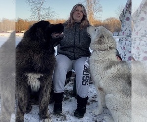 Medium Breeder Profile Photo