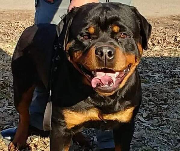 Medium Photo #1  Breeder Profile in WYNNE, AR, USA