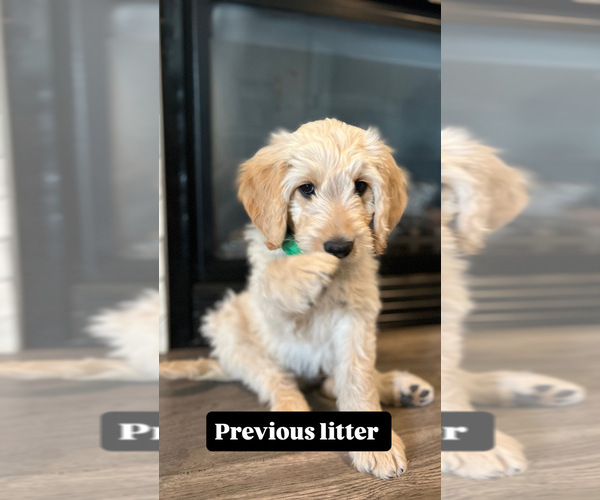 Medium Photo #4  Breeder Profile in ENTERPRISE, AL, USA