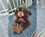 Small #27 Breeder Profile image