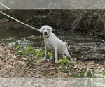 Small #7 Breeder Profile image