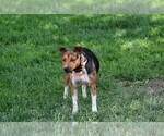 Small #4 Breeder Profile image