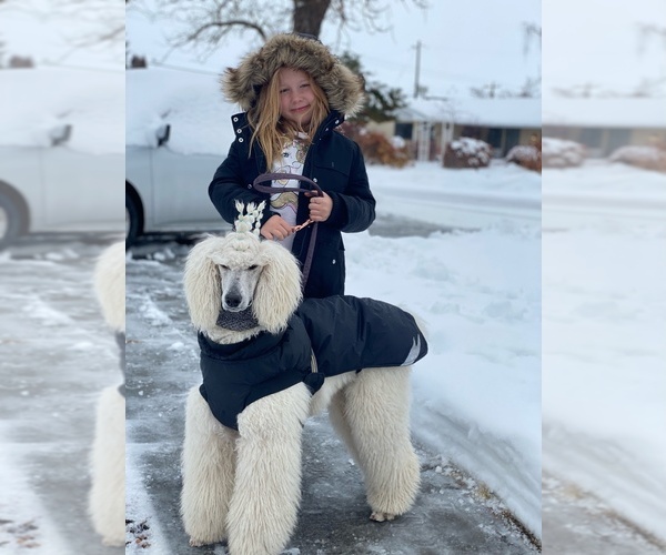 Medium Photo #1  Breeder Profile in MOSES LAKE, WA, USA