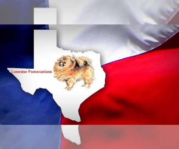 Medium Photo #1  Breeder Profile in KINGWOOD, TX, USA