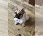 Small #27 Breeder Profile image