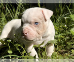 Small #23 Breeder Profile image