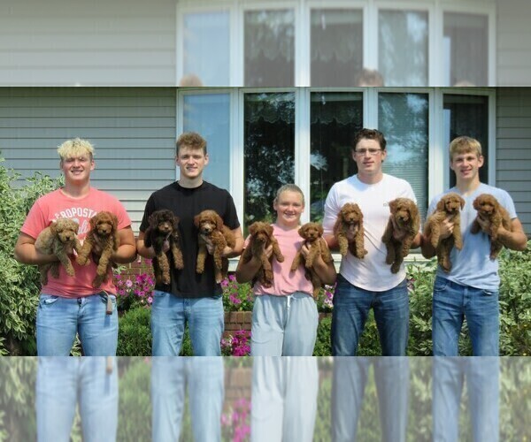 Medium Photo #2  Breeder Profile in HANCOCK, MN, USA