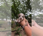 Small #2 Breeder Profile image