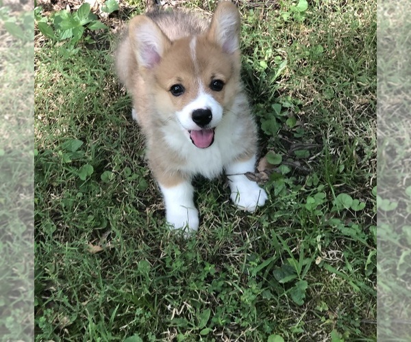 Medium Photo #1  Breeder Profile in CANTON, GA, USA