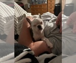 Small #18 Breeder Profile image