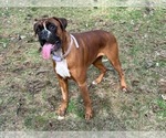Small #5 Breeder Profile image