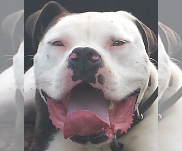 Medium Photo #1  Breeder Profile in SAN MARCOS, TX, USA