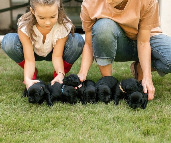 Medium Photo #1  Breeder Profile in FAYETTEVILLE, GA, USA