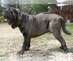 Small #28 Breeder Profile image