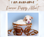 Small #4 Breeder Profile image