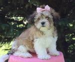 Small #54 Breeder Profile image
