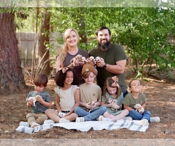 Medium Photo #1  Breeder Profile in PINEHURST, NC, USA