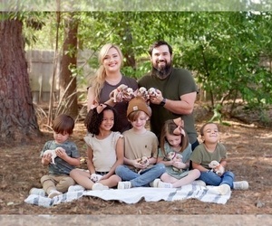 Goldendoodle Dog Breeder near PINEHURST, NC, USA