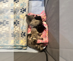 Small #3 Breeder Profile image