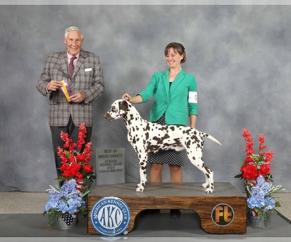 Medium Photo #6  Breeder Profile in PERRIS, CA, USA