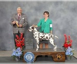 Small #5 Breeder Profile image