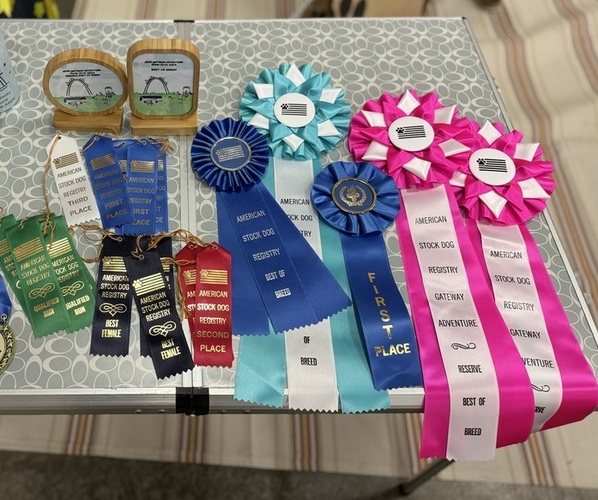 Medium Photo #22  Breeder Profile in NOLENSVILLE, TN, USA