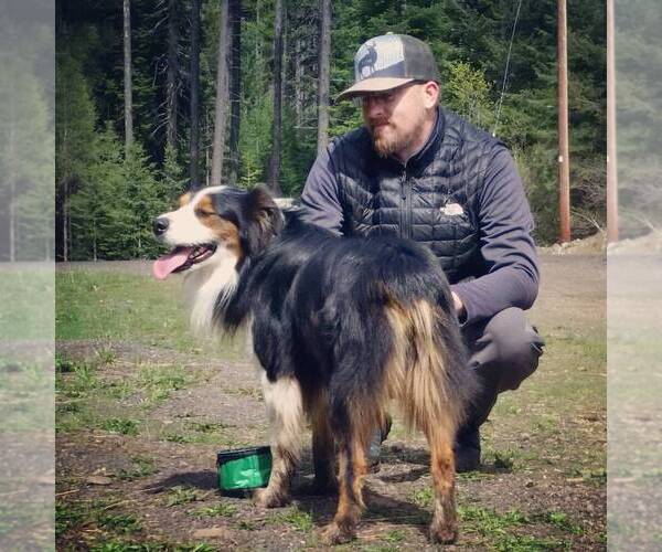 Medium Photo #1  Breeder Profile in PENDLETON, OR, USA