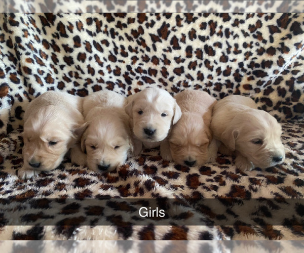 Medium Photo #5  Breeder Profile in PRITCHETT, CO, USA