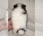 Small #4 Breeder Profile image