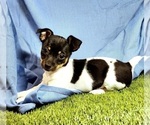 Small #29 Breeder Profile image