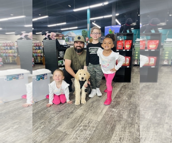 Medium Photo #3  Breeder Profile in PINEHURST, NC, USA
