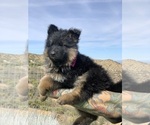 Small #144 Breeder Profile image