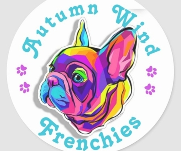 Medium Photo #1  Breeder Profile in PALMDALE, CA, USA