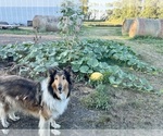 Small #18 Breeder Profile image
