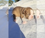Small #2 Breeder Profile image