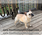 Small Photo #6  Breeder Profile in LINDENTREE, OH, USA