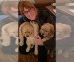 Small breeder photo