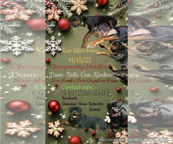 Medium Photo #2  Breeder Profile in GREEN SPRINGS, OH, USA