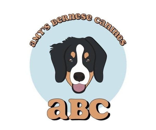 Medium Photo #1  Breeder Profile in GRAND RAPIDS, MI, USA