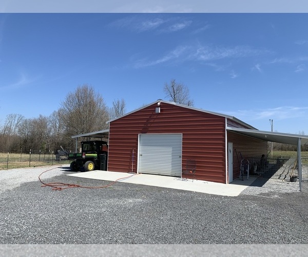 Medium Photo #5  Breeder Profile in HIGDON, AL, USA