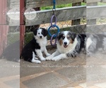 Small #2 Breeder Profile image